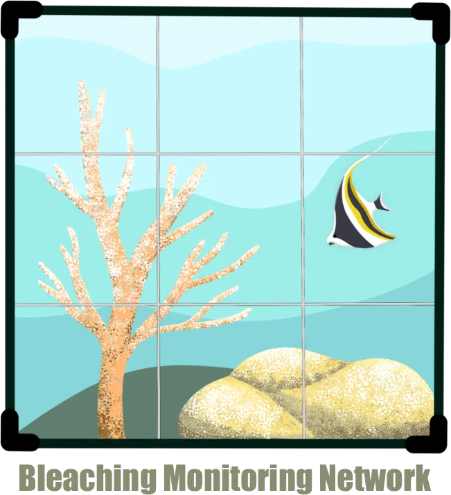 Bleaching Monitoring Network logo