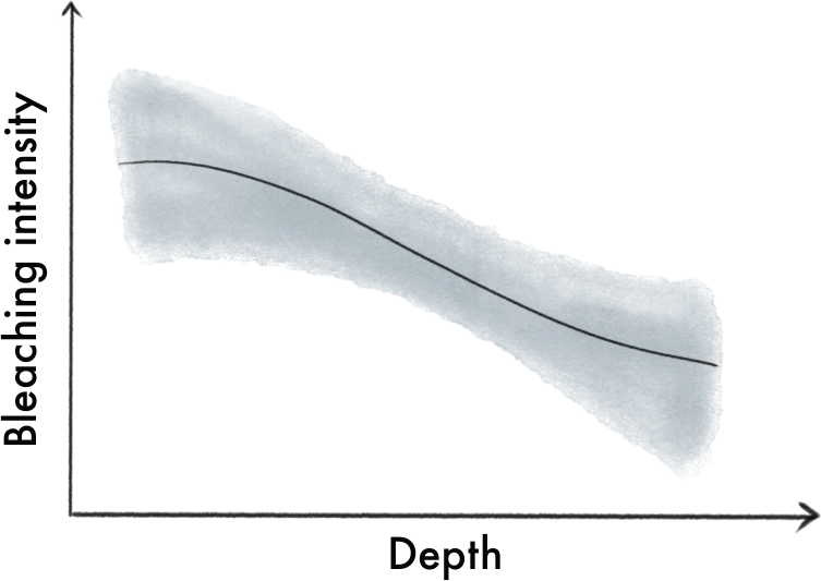 Example chart of bleaching intensity decreasing with depth