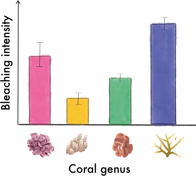 Example bar chart of bleaching intensity for four coral genera