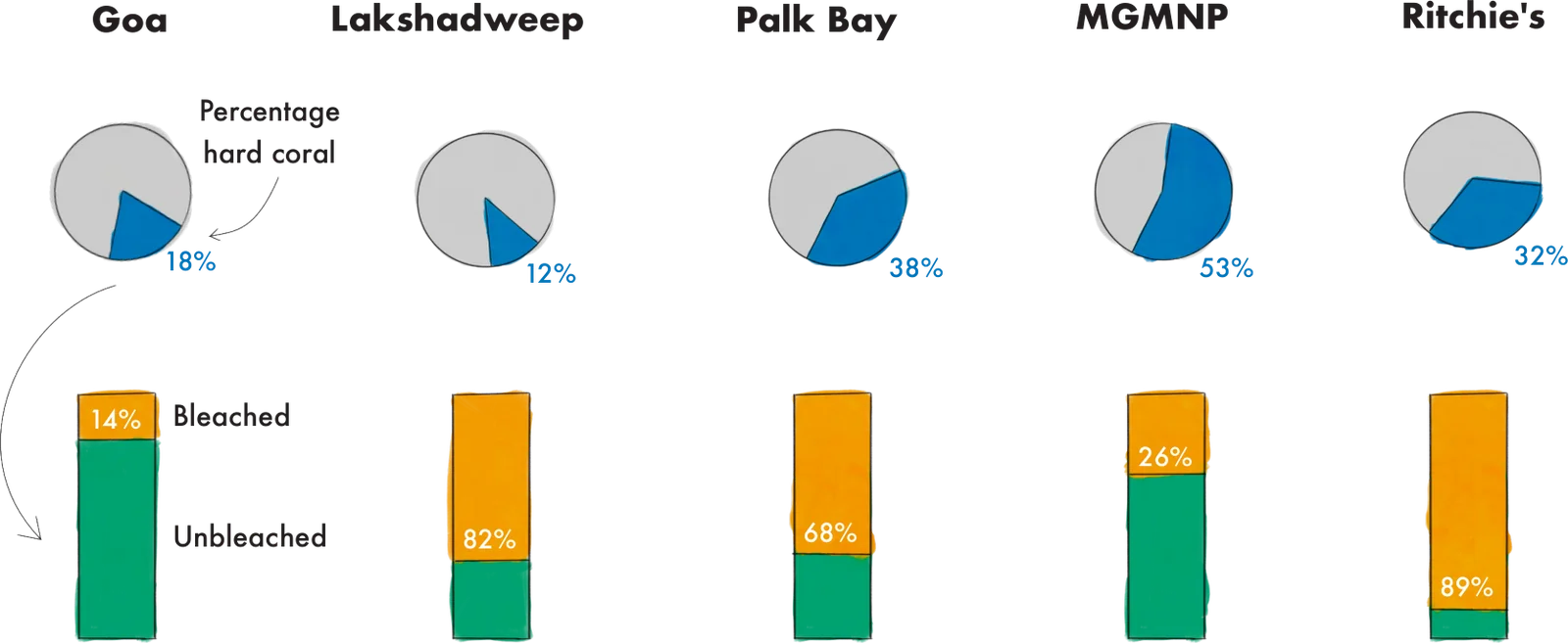 Charts for each region. Percentage hard coral: Goa 18%, Lakshadweep 12%, Palk Bay 38%, MGMNP 53%, Ritchie's 32%. Percentage of coral bleached: Goa 14%, Lakshadweep 82%, Palk Bay 68%, MGMNP 26%, Ritchie's 89%.